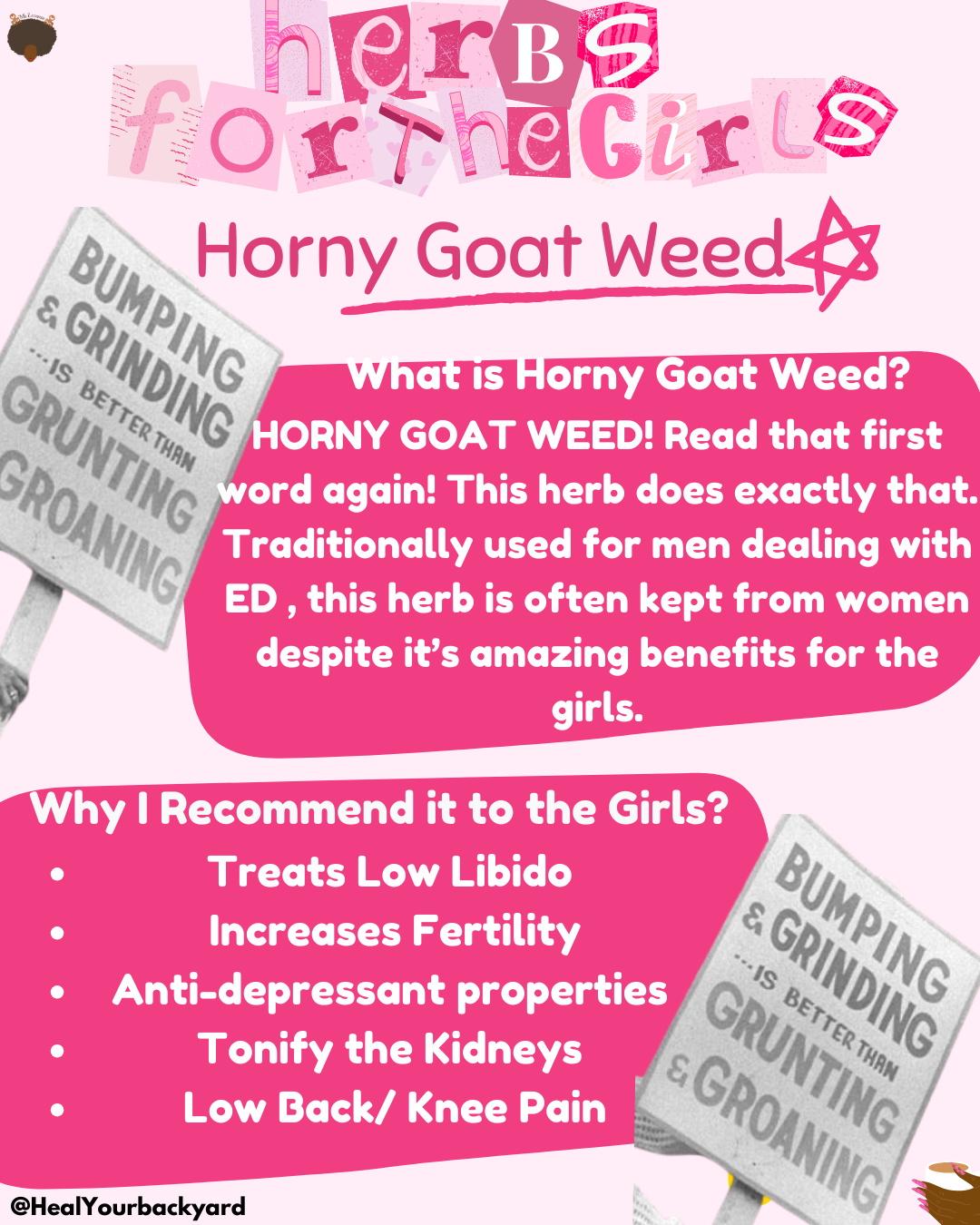 Herbs for the Girls: Horny Goat Weed