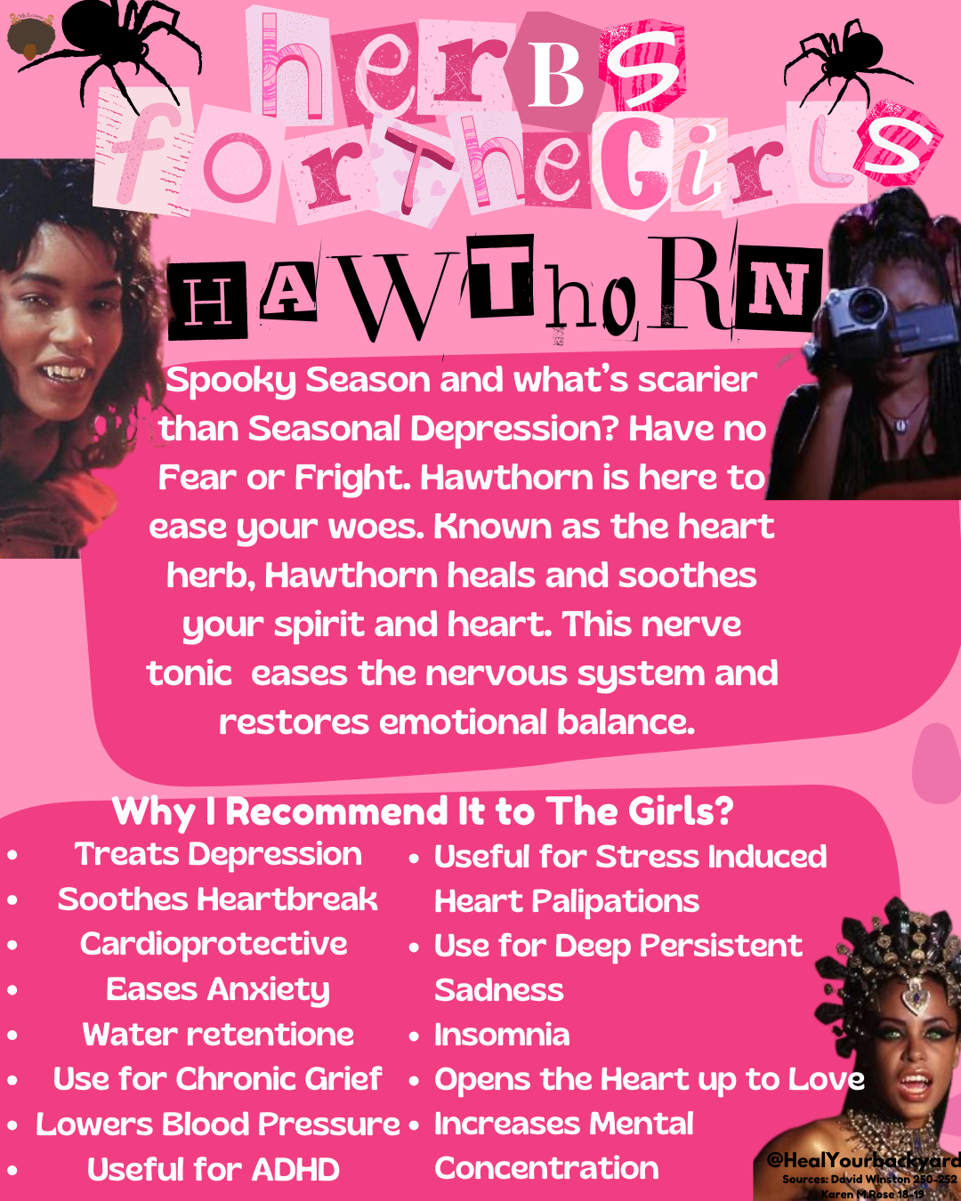 Herbs for the Girls:Hawthorn