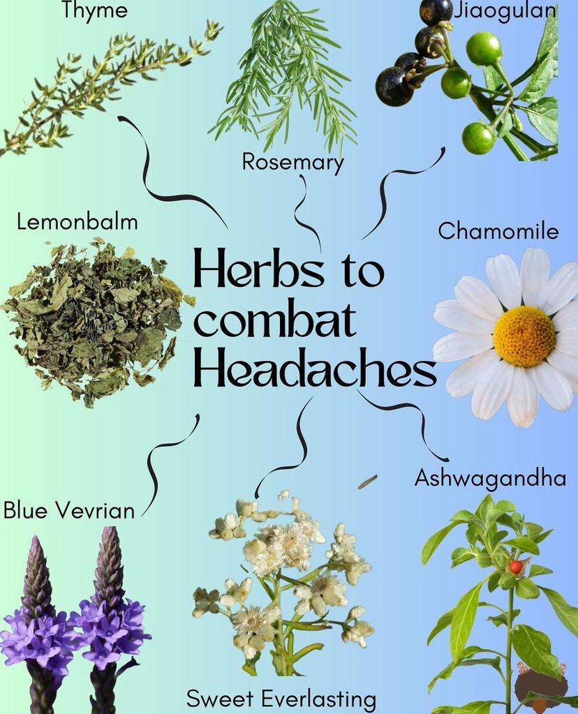Headache Heroes: Herbs to the Rescue!