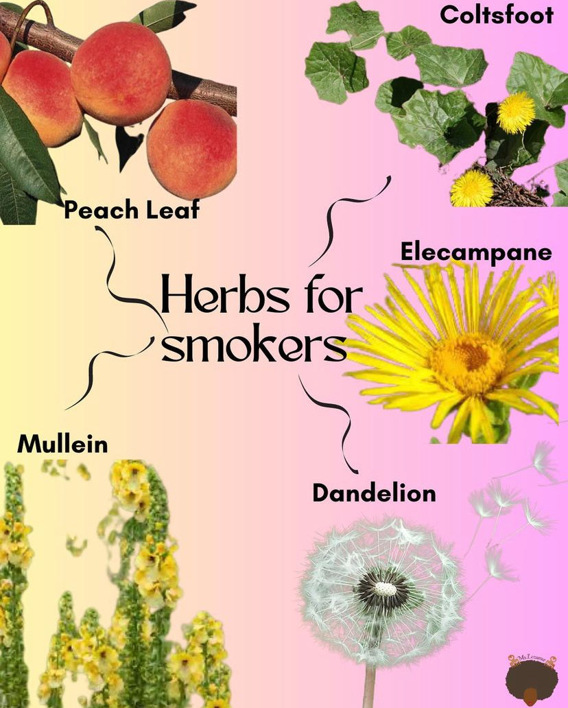 Lifting Lungs with Herbal Magic !